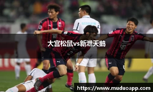 大宫松鼠vs新泄天鹅